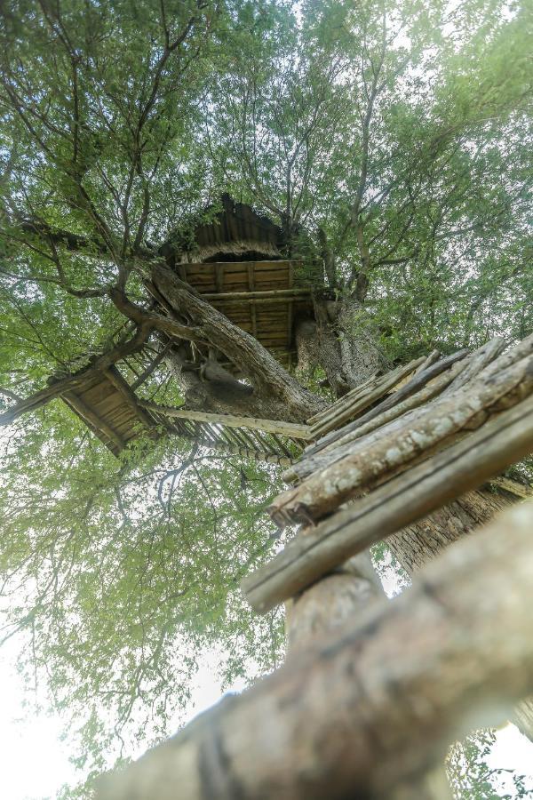 Subaseth Villa Anuradhapura Kültér fotó