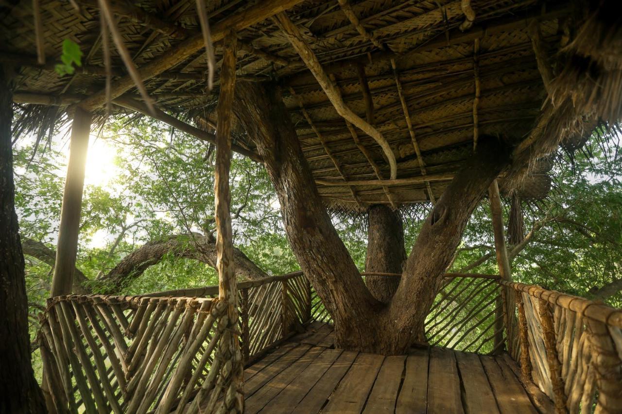 Subaseth Villa Anuradhapura Kültér fotó