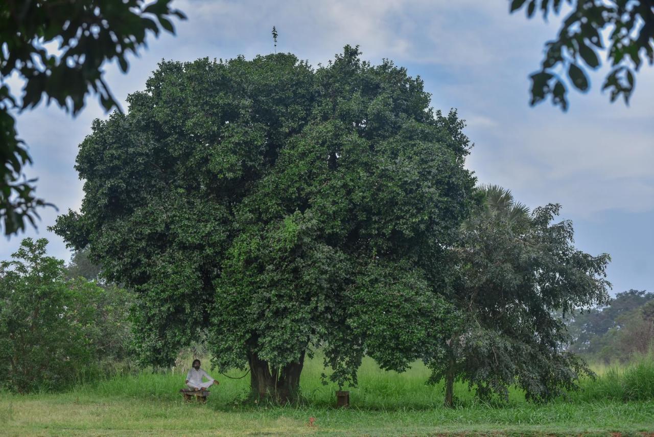 Subaseth Villa Anuradhapura Kültér fotó