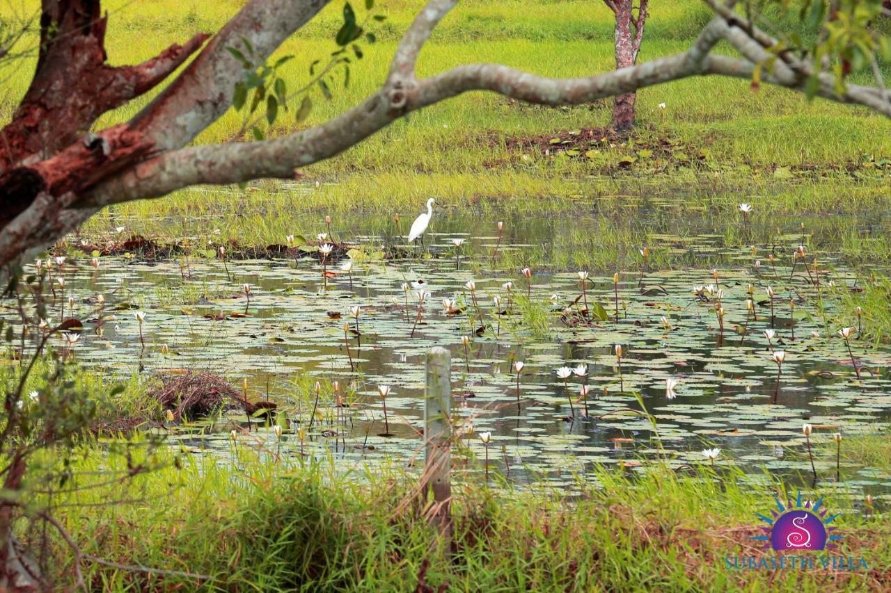 Subaseth Villa Anuradhapura Kültér fotó